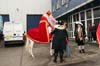 081115_169_intocht_sinterklaas_partymania