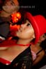 101030_175_havana_partymania