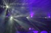 110305_161_ilovelos_paardvantroje_partymania