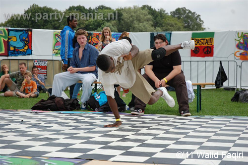 110626_113_parkpop_zuiderpark_partymania_denhaag