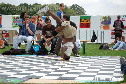 110626_119_parkpop_zuiderpark_partymania_denhaag